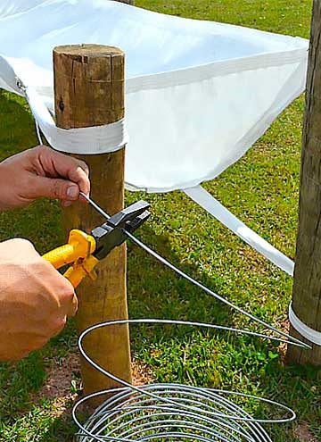 Service Image
